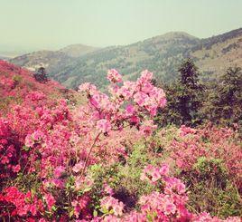 李家集街道 李家集街道