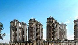 左岸春天 左岸春天