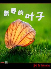 飄零的葉子 飄零的葉子