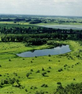 白狼洮兒河國家濕地公園 白狼洮兒河國家濕地公園