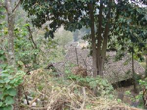 明家壩自然村村莊全貌