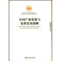 中國產業集聚與集群發展戰略