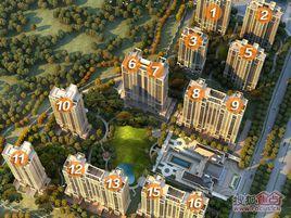 雅戈爾長風8號 雅戈爾長風8號