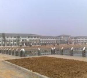 才莊村社區 才莊村社區