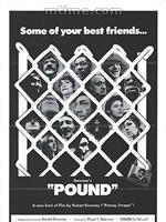 狗狗人生[1970年羅伯特&middot;唐尼執導電影]