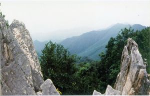 城子山省級森林公園 城子山省級森林公園