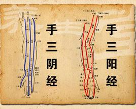 手三陰經 手三陰經