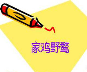 家雞野鶩 家雞野鶩