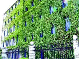 外牆綠化 外牆綠化