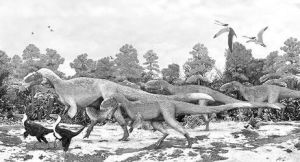 華麗羽王龍化石 華麗羽王龍化石