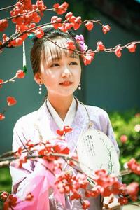 <<紅樓夢>>[2017年潘禮平團隊執導電視劇]