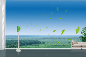 心理性失眠 心理性失眠