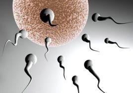 精液異常性不育 精液異常性不育
