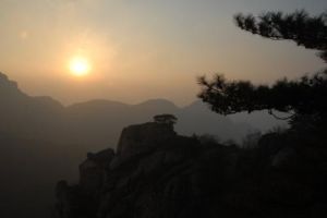 暮色蒼茫看勁松 暮色蒼茫看勁松