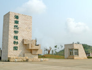 熱作兩院植物園 熱作兩院植物園