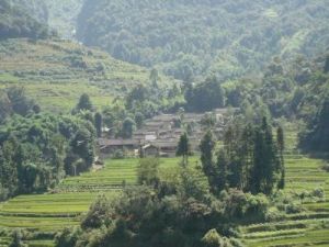 大溝自然村 大溝自然村