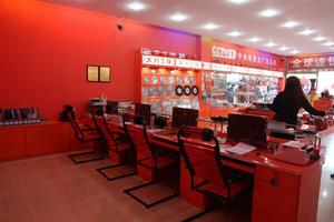 大力控股有限公司