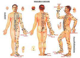 針灸穴位 針灸穴位