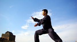 太極拳身法 太極拳身法