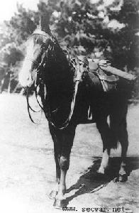 加納治雄 加納治雄