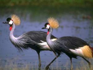 雅羅斯拉夫爾州