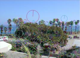 圖像特徵點 圖像特徵點