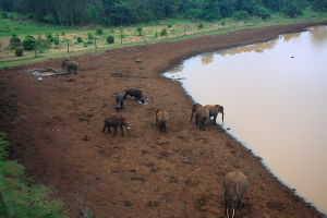 普通鹽土 普通鹽土