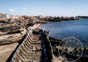 王家麥島 王家麥島