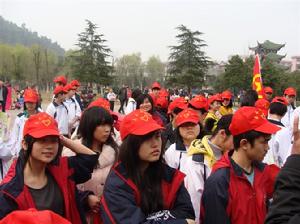 嘉禾志願者協會