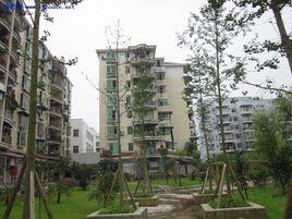 普通住宅 普通住宅