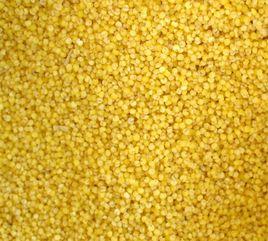 武安小米 武安小米