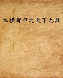 縱橫都市之天下無敵 縱橫都市之天下無敵