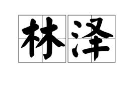 林澤 林澤