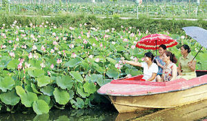 連雲港現代農業科技示範園 連雲港現代農業科技示範園