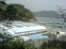 蔴灣崖村 蔴灣崖村