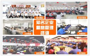 知名企業精益管理諮詢