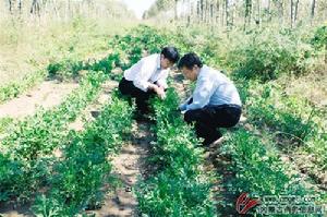 探索農民致富新路子