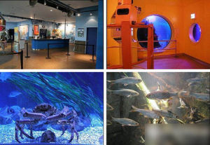 奧博豪森水族館 奧博豪森水族館