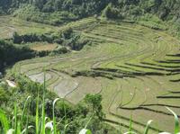 梯田