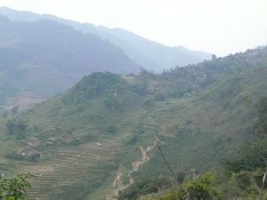 衛坪自然村 衛坪自然村