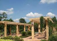 大王山國家森林公園