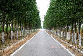 永莘公路 永莘公路