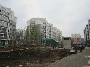 白塔茗居 白塔茗居