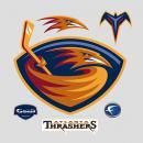 亞特蘭大鶇鳥 亞特蘭大鶇鳥