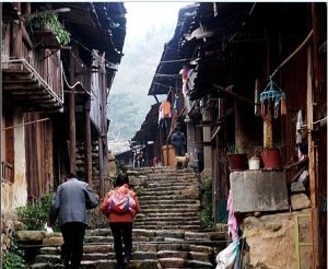 德化上涌杏仁街