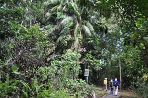 巴哥國家公園 巴哥國家公園