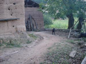 卓子山村 卓子山村