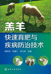 羔羊快速育肥與疾病防治技術