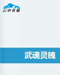 武魂靈魄 武魂靈魄