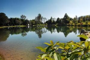 情人湖[雲南大理情人湖]